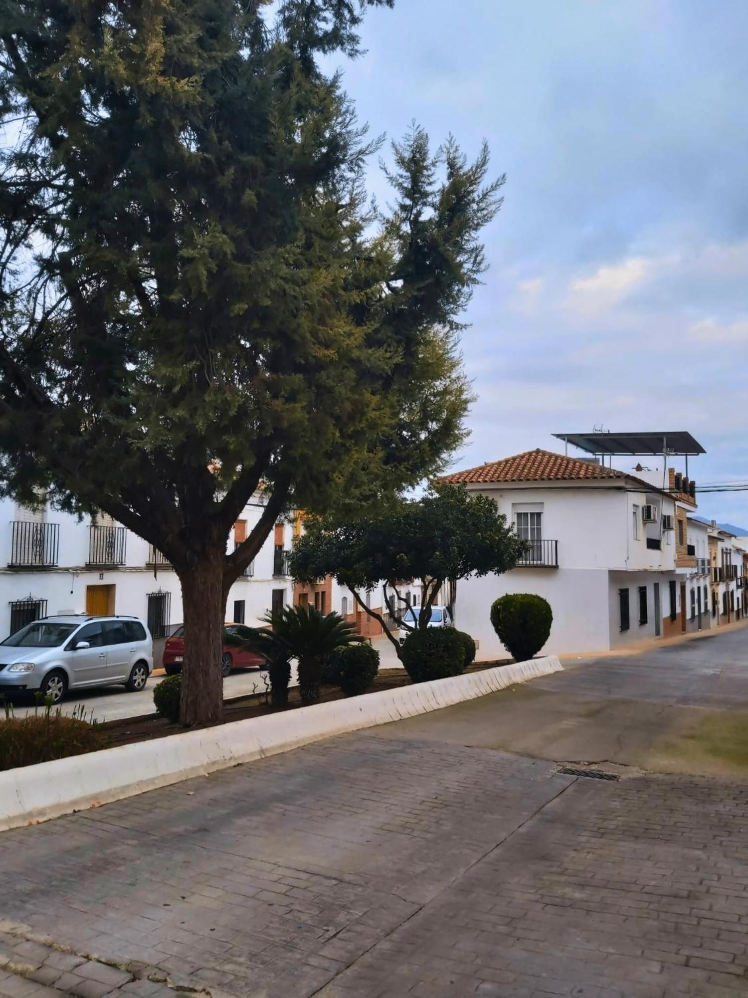 Willa Arcadia Centro De Andalucia Encinas Reales Zewnętrze zdjęcie